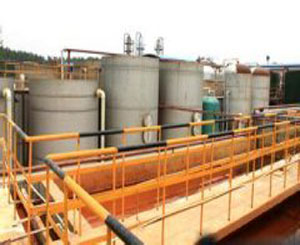 �|��ĳ��ȩ��֬�Uˮ̎���F��